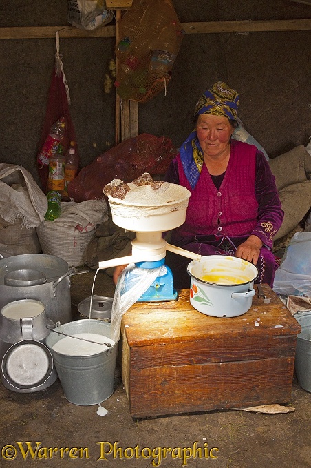 Kyrgyz woman making cream.  Kyrgyzstan