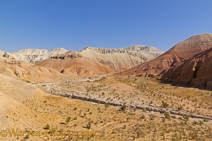 Colourful rocks at Aktau Mountains, Altyn Emel National Park.  Kazakhstan
