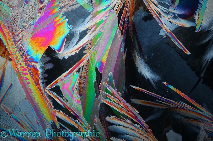 Ice crystals viewed by polarised light