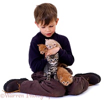 Boy with kittens