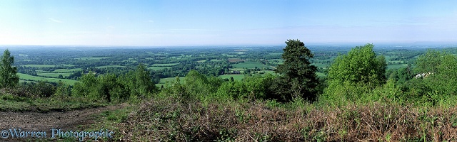 View from Holmbury Hill
