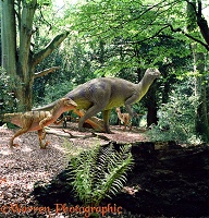 Iguanodon and Deinonicus 3D R