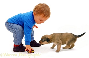 Toddler with little brown puppy