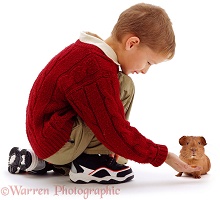 Boy with red guinea pig