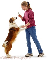 Girl with Border Collie