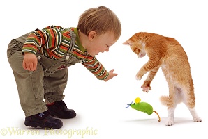 Toddler and dancing ginger cat