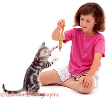 Girl with playful silver tabby cat