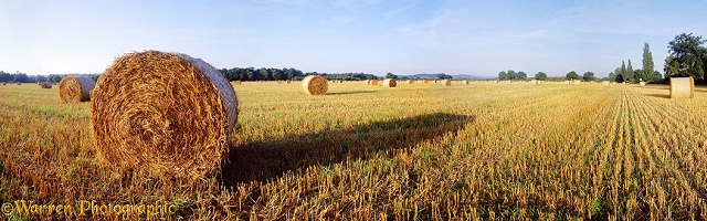 Roly-poly bales panorama