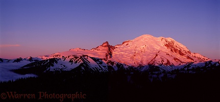 Alpen glow on Mt. Rainier