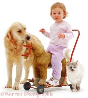 Toddler on toy horse