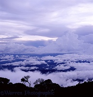 Mt. Kinabalu clouds