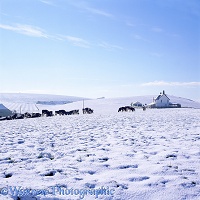 Seabarn Farm with snow