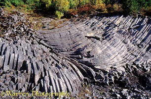 Columnar basalt patterns