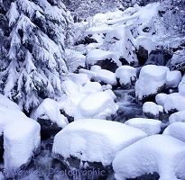 Snow on river boulders