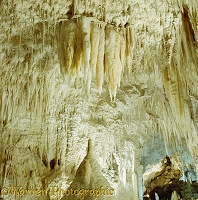 Waitomo cave 1 3D R