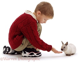 Boy with baby dwarf rabbit