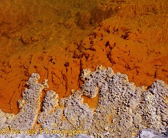 Mineral deposits at the edge of hot spring