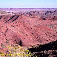 Painted Desert scenery