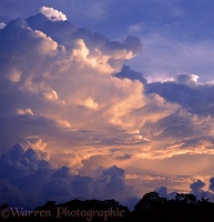 Thunder cloud at sunset