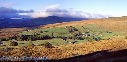 Farm in Yorkshire Dales