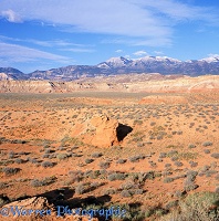 Utah view