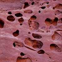 Sandstone rock with holes
