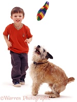 Boy playing with dog