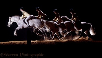 Pony jumping multiple exposure