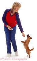 Woman clicker-training a terrier to dance