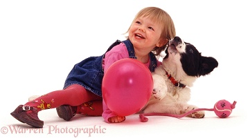 Child and Border Collie puppy