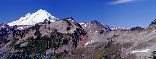Mt. Baker panorama