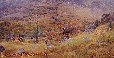 Autumnal highland scenery