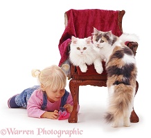 Little girl and cats around a chair
