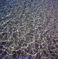 Ripples in shallow sea