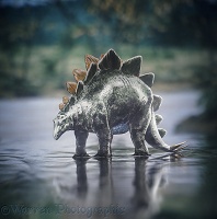 Stegosaurus standing in water