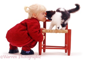 Little girl kissing a black-and-white kitten