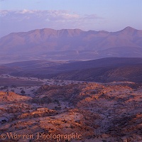 Namib Desert at sunrise
