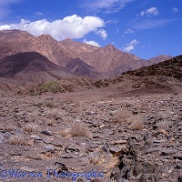 Rugged desert scenery