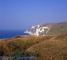 Whitenothe cliffs from Bats Head