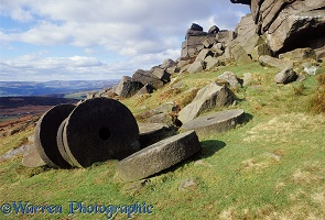 Abandoned millstones