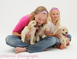 Girls with Golden Retriever pups