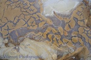 Patterns in mud under ice