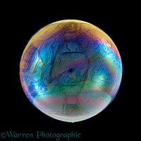 Soap bubble