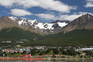 Town in Southern Argentina