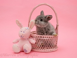 Baby rabbit in a pink wicker basket on pink background