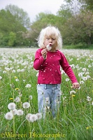 Little girl blowing Dandelion seeds