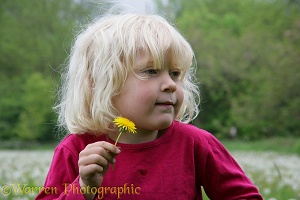 Little girl with a Dandelion flower