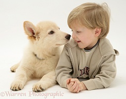 Boy with white Alsatian pup