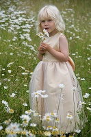 Girl in field of Ox-eye Daisies