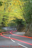 Country lane with autumnal trees and car tail light trails